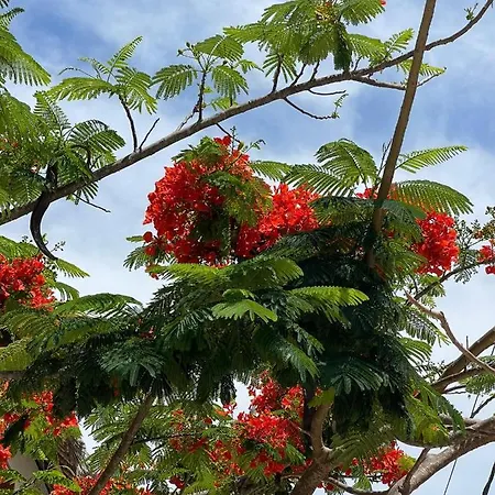 아파트 Eden Park 쎙뜨호뻬